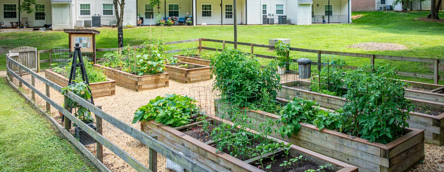 a garden in a park